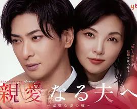致亲爱的丈夫 完美妻子的谎言海报